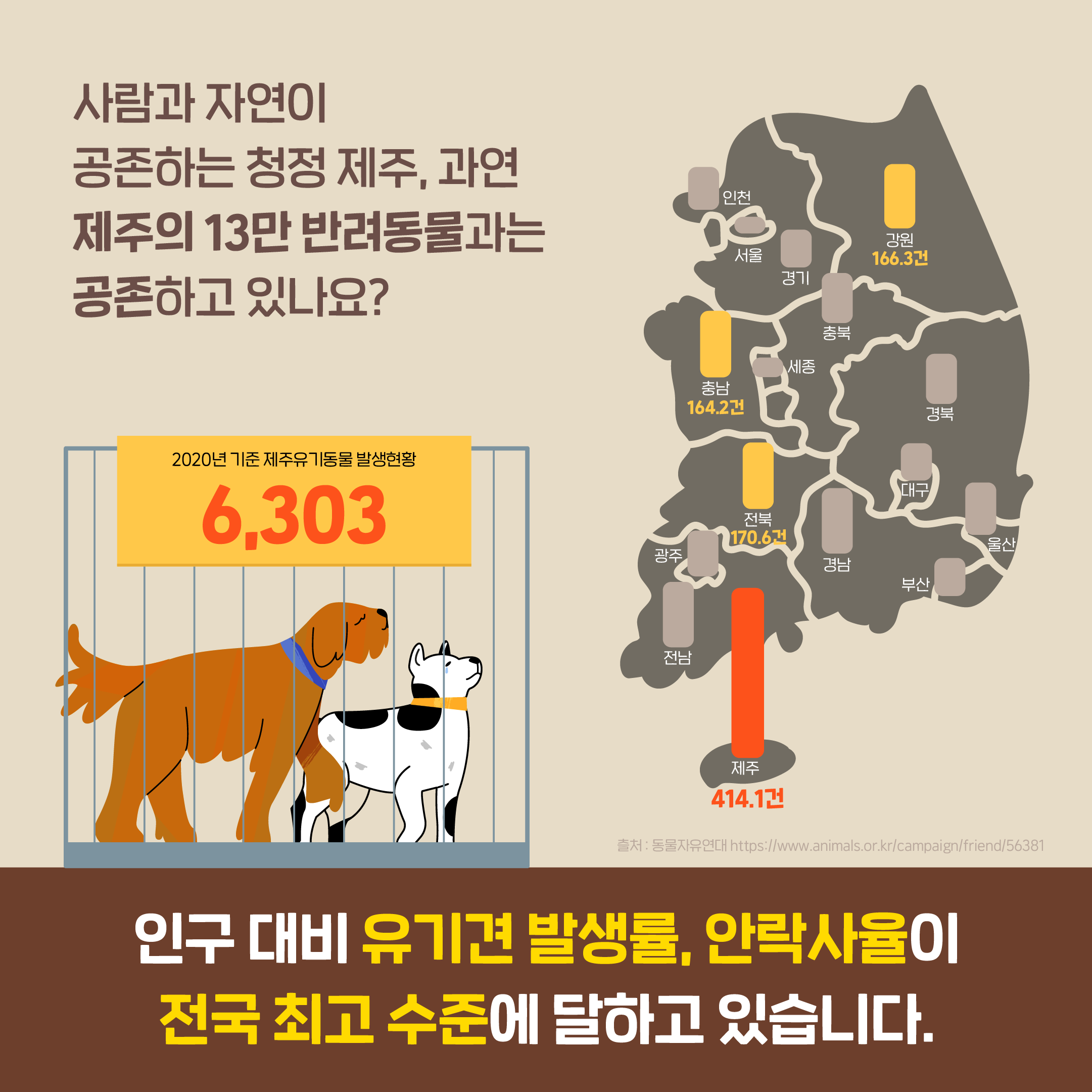 [2021] 제주도 유기동물 제로 만들기 프로젝트