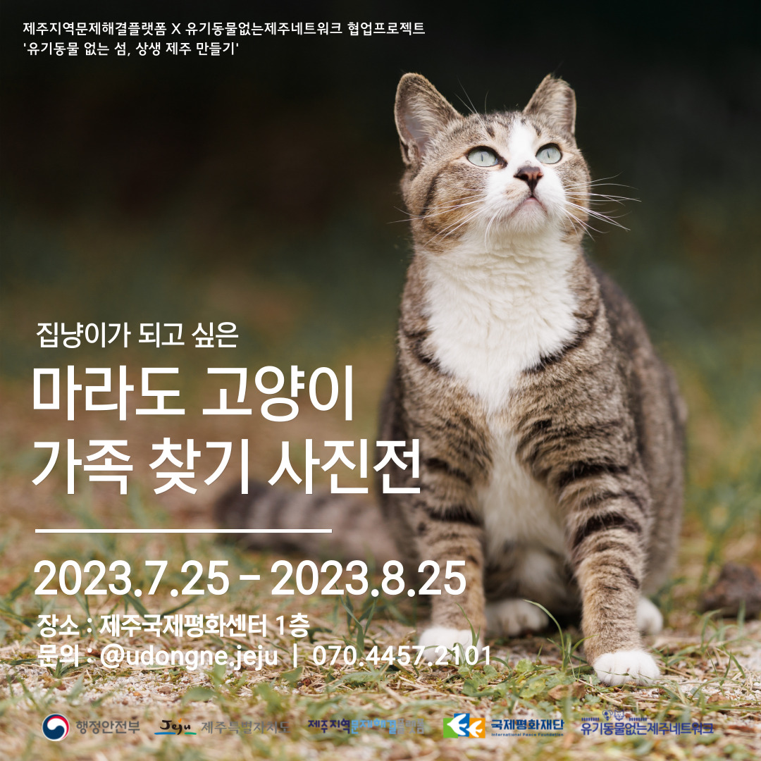 제주지역문제해결플랫폼_마라도고양이전시1.jpg